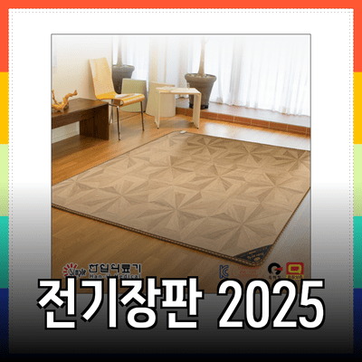 2025년형 전기장판: 따뜻함과 실용성을 갖춘 라이프스타일 아이템